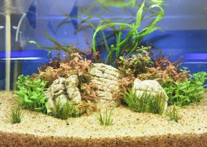 best aquarium substrate
