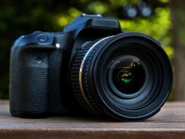 Betta Fish Photography: Equipment To Capture Best Moments