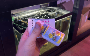 how to test aquarium water